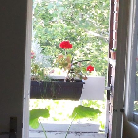 B&B Girasole Novi Sad Ruang foto